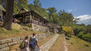 Un sendero de piedra que lleva a una estructura de madera con porche cubierto, rodeado de árboles y follaje.