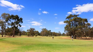 A golf course with a clear sky, trees, and a well-maintained green. - Moama Central Motel (Moama)