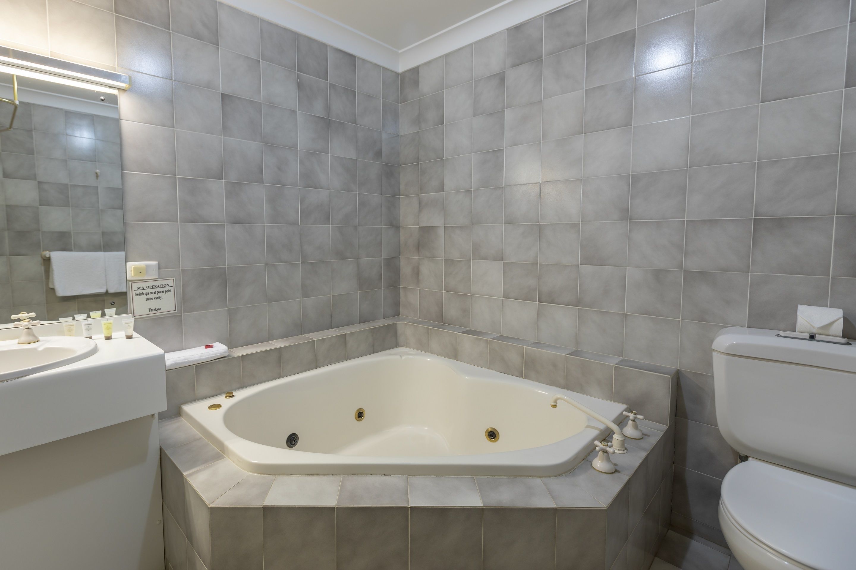 Separate bathtub and shower, deep-soaking bathtub, rainfall showerhead