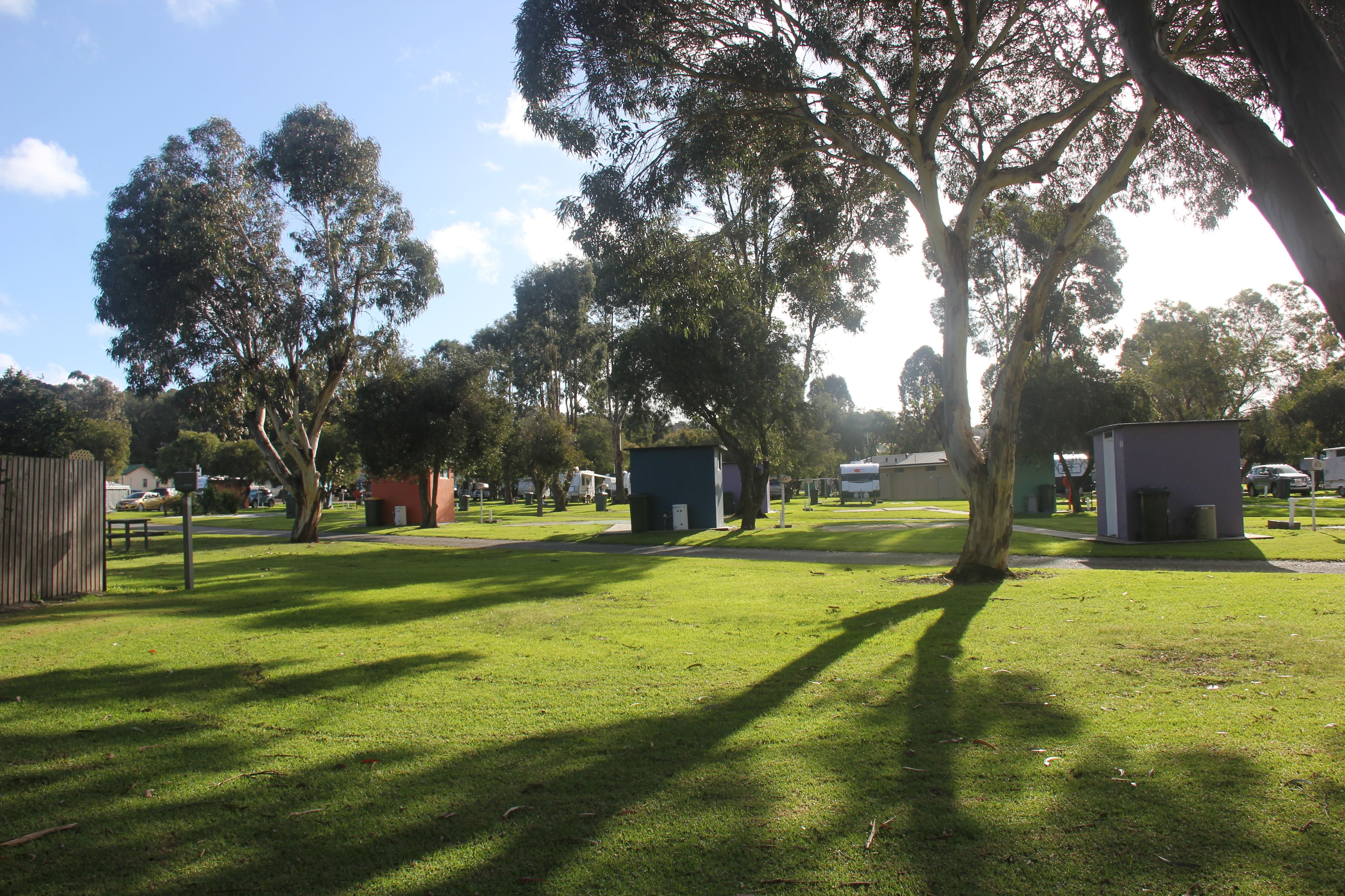 A grassy area with trees and a small building.