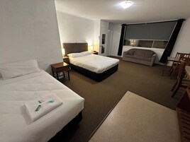 Disable Twin Room | Minibar, iron/ironing board, bed sheets, wheelchair access