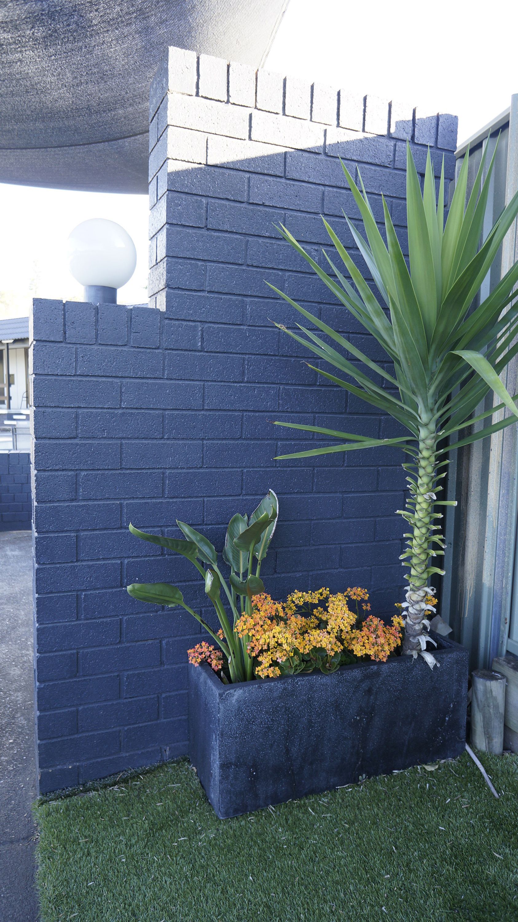 A dark blue brick wall with a planter box containing yellow flowers and a tall green plant.