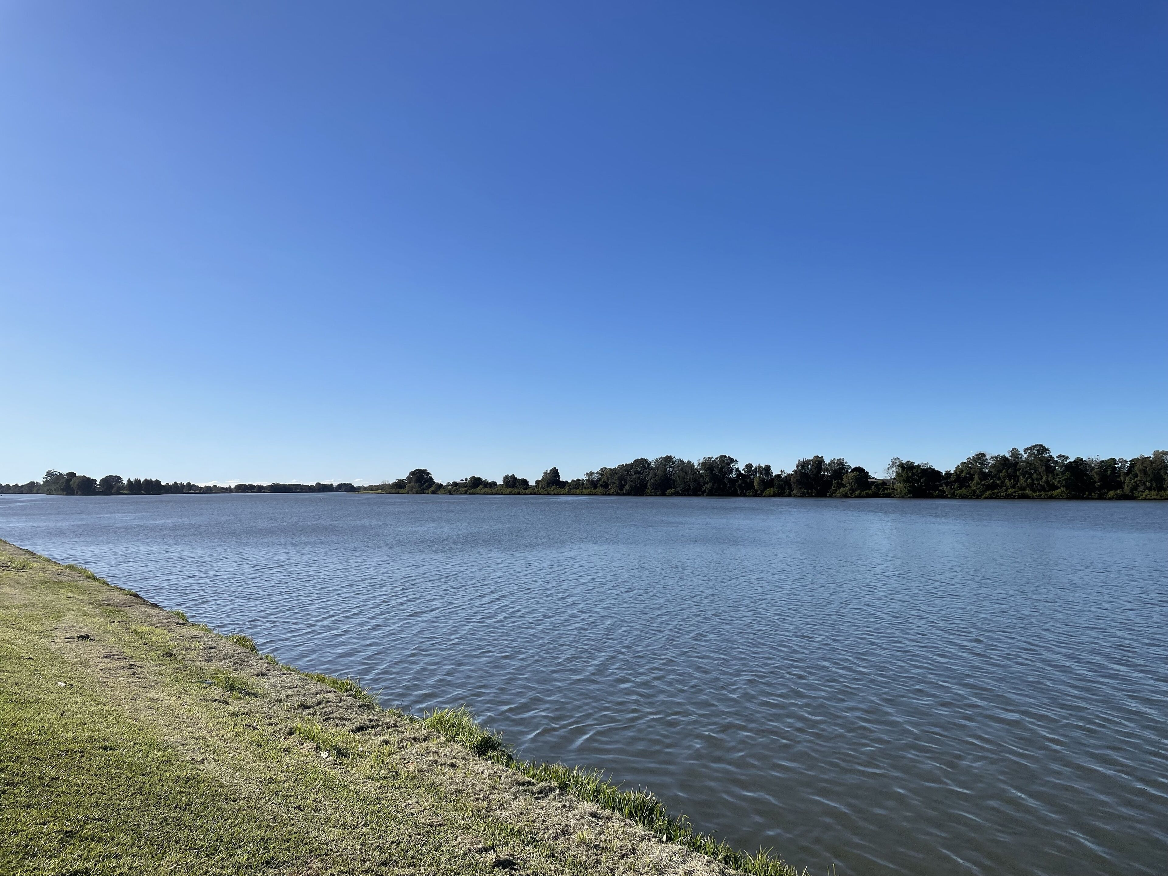 A calm river with a grassy bank and a distant tree line under a clear blue sky.