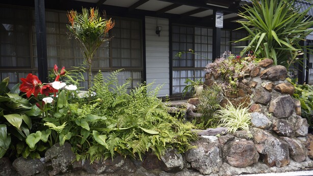 Un edificio de estilo japonés tradicional con un jardín de piedra que presenta diversas plantas y flores.