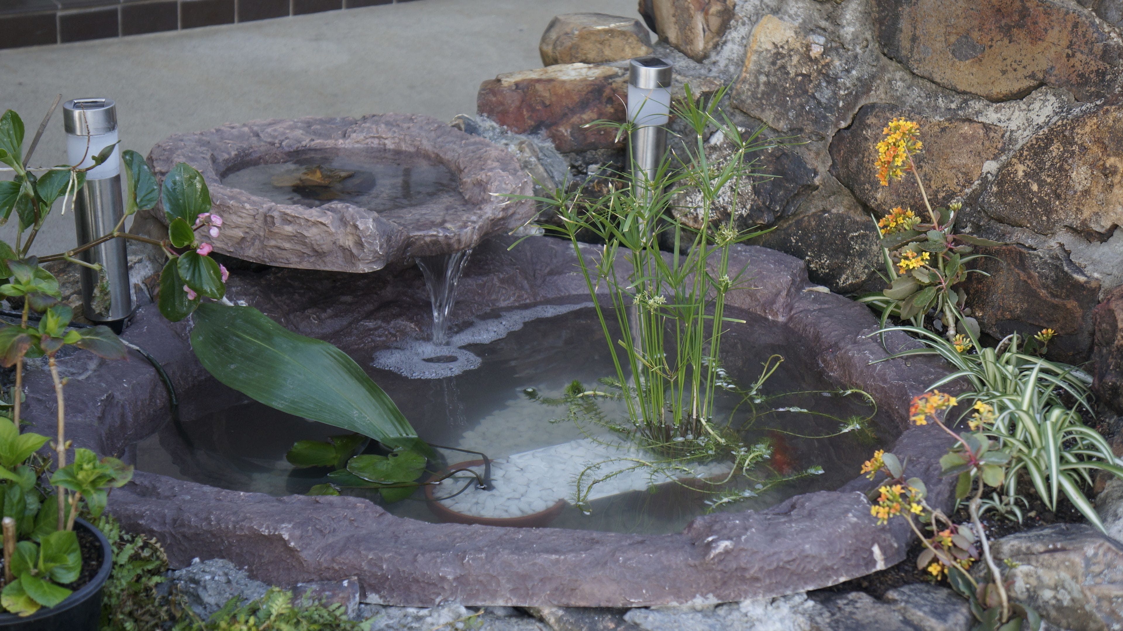 A small pond with a waterfall, surrounded by rocks and plants.