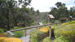 A wooden boardwalk with railings, surrounded by lush greenery and small structures. - Tweed Valley Lodge (Bridgetown)