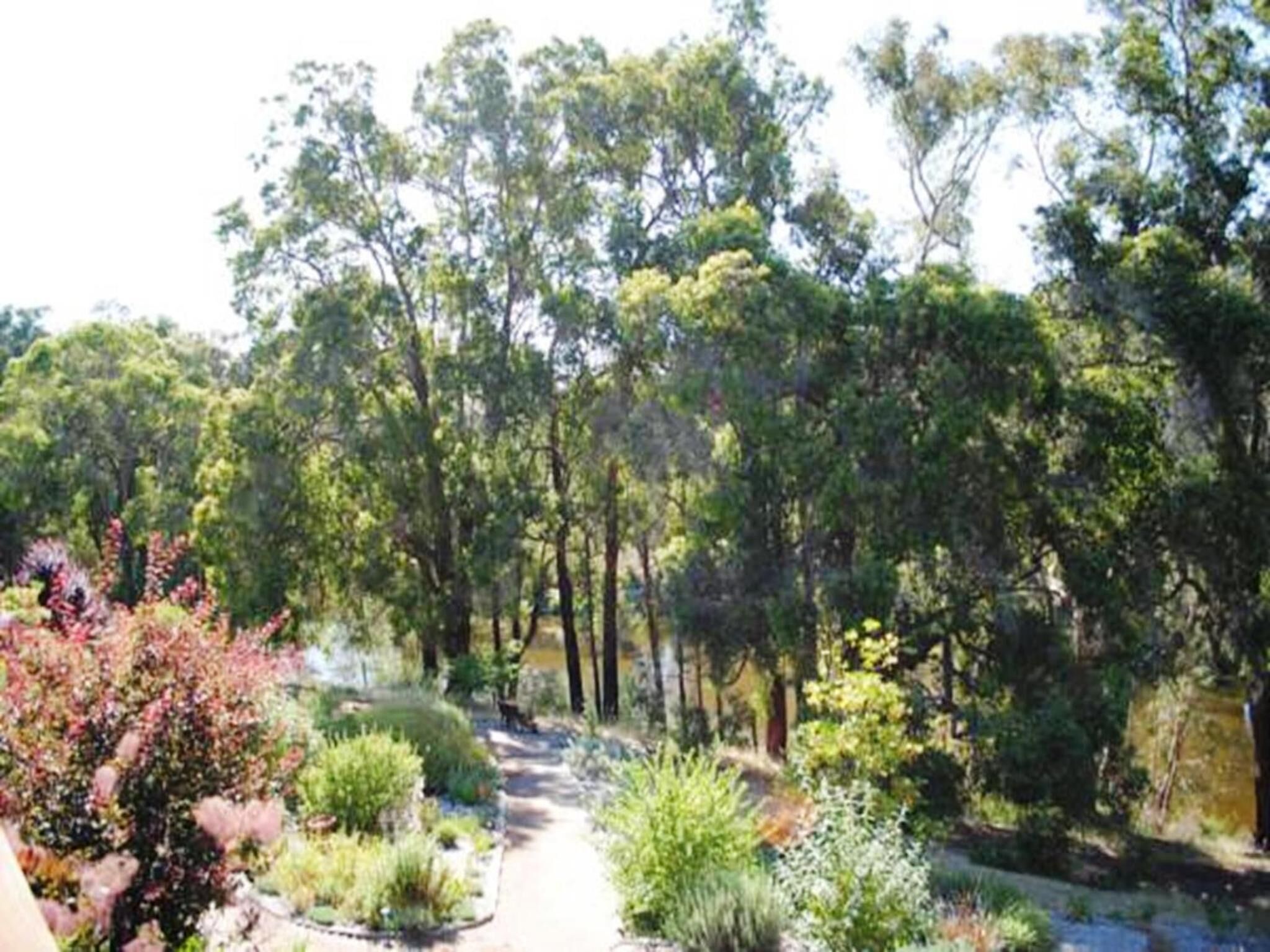Un jardín con varios árboles y arbustos, un sendero pavimentado y una pequeña fuente de agua.