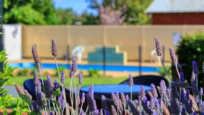 A pool area with a fence, a trampoline, and lavender plants in the foreground. - Oasis Motel Peak Hill (Peak Hill)