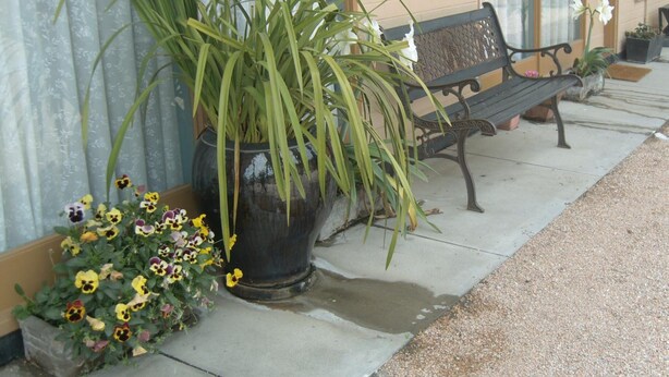 A bench and potted plants outside a building. - Travellers Rest Motel (Bairnsdale)
