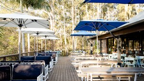 An outdoor deck with wooden benches and tables, surrounded by blue and white umbrellas, and trees in the background. - Avoca Beach Hotel (Avoca Beach)