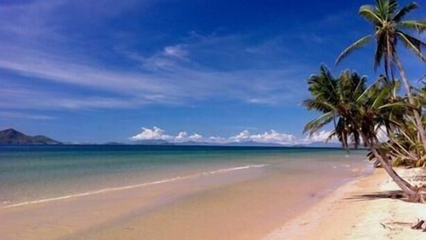 Una playa con aguas turquesas cristalinas, orilla de arena y palmeras.