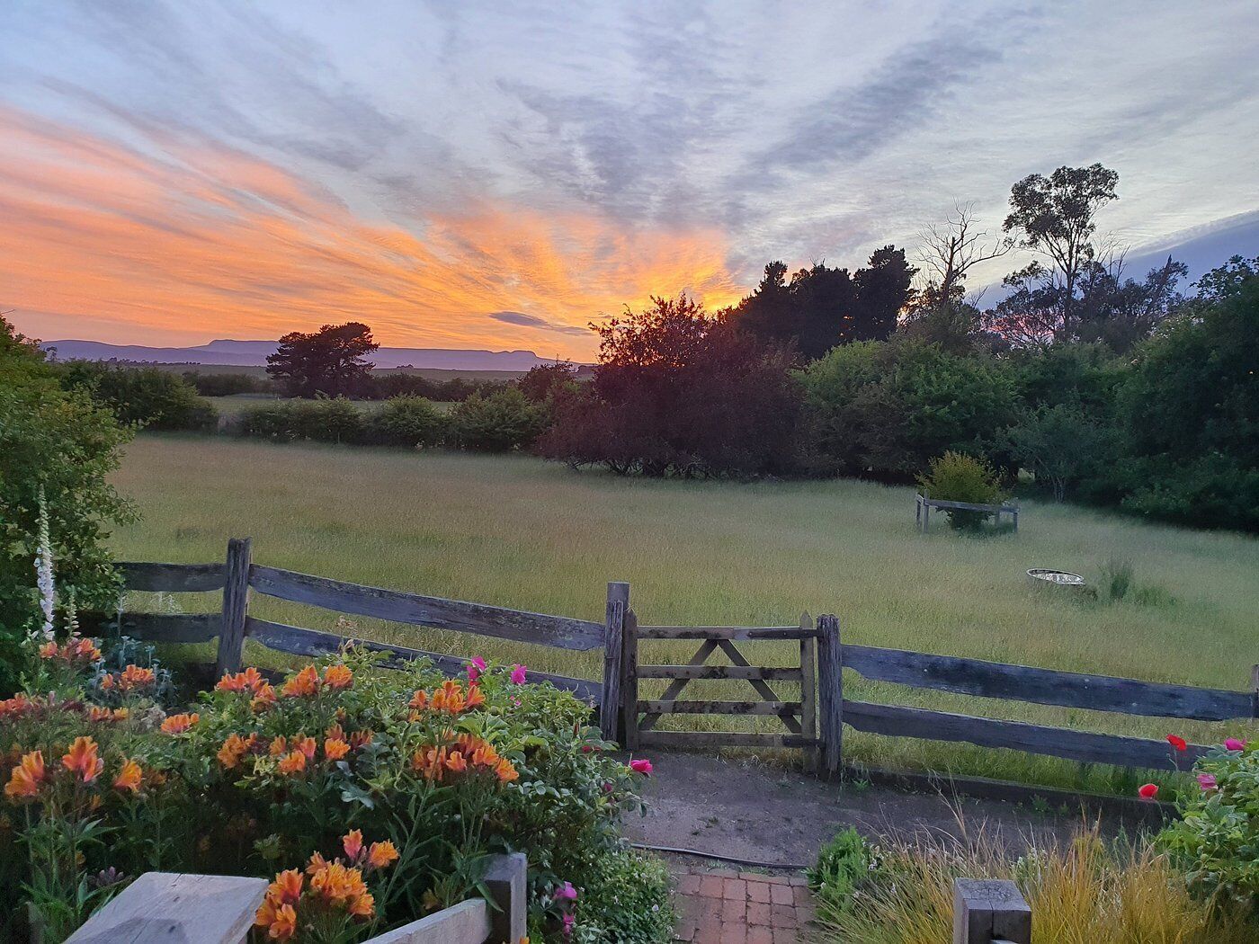 A rural landscape with a wooden gate, a field, and trees in the background.