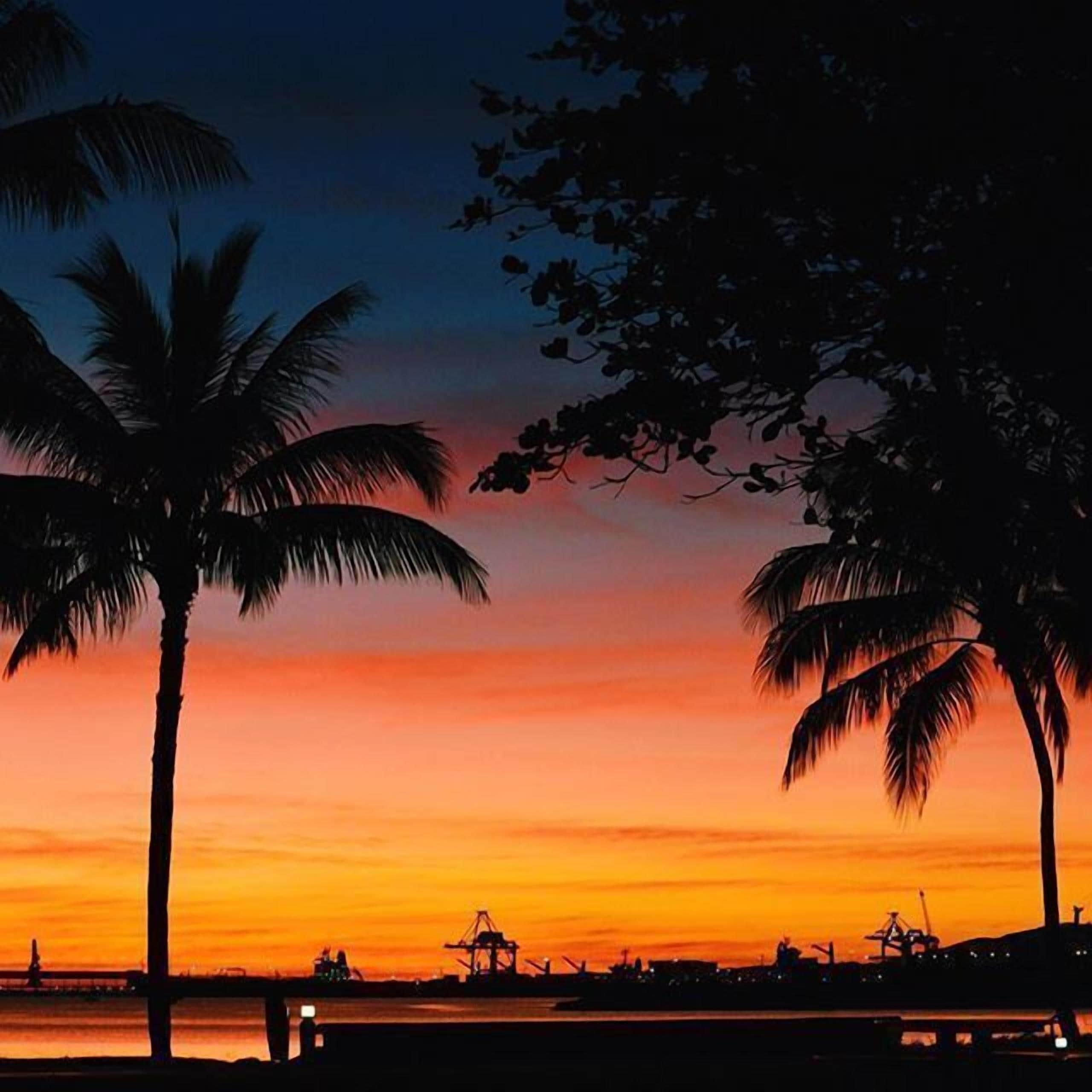 Foto - Shoredrive Motel