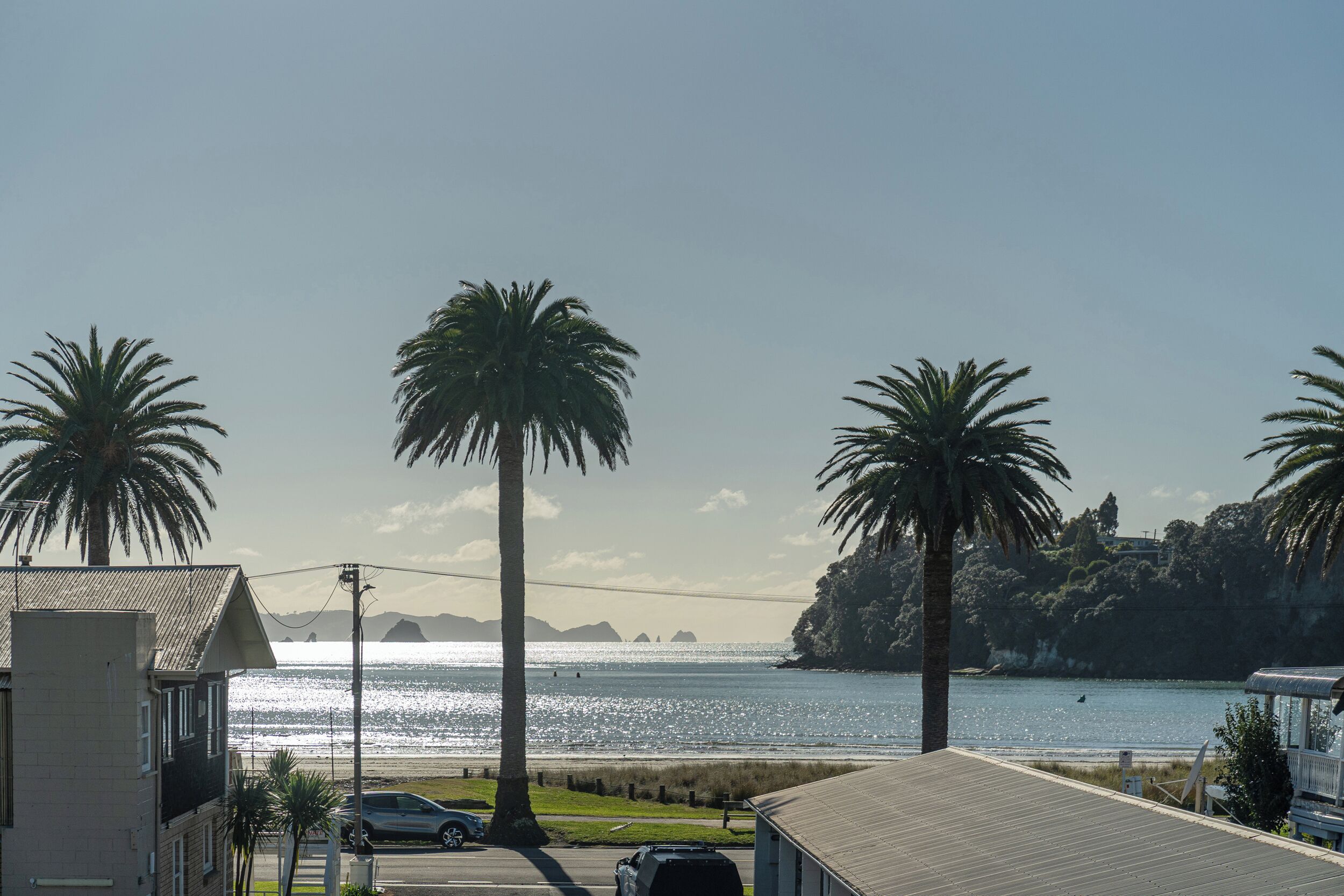 A coastal view with palm trees, a road, and a body of water.