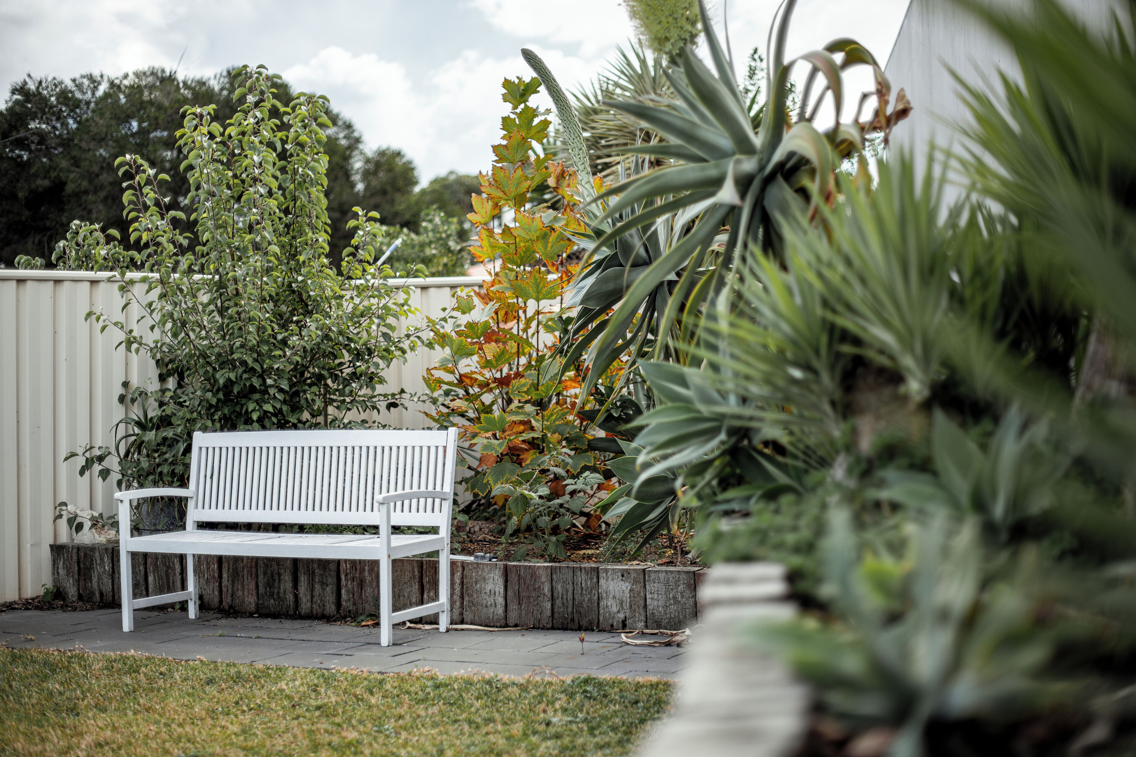 Un banco blanco en un jardín con cerca de madera y diversas plantas.