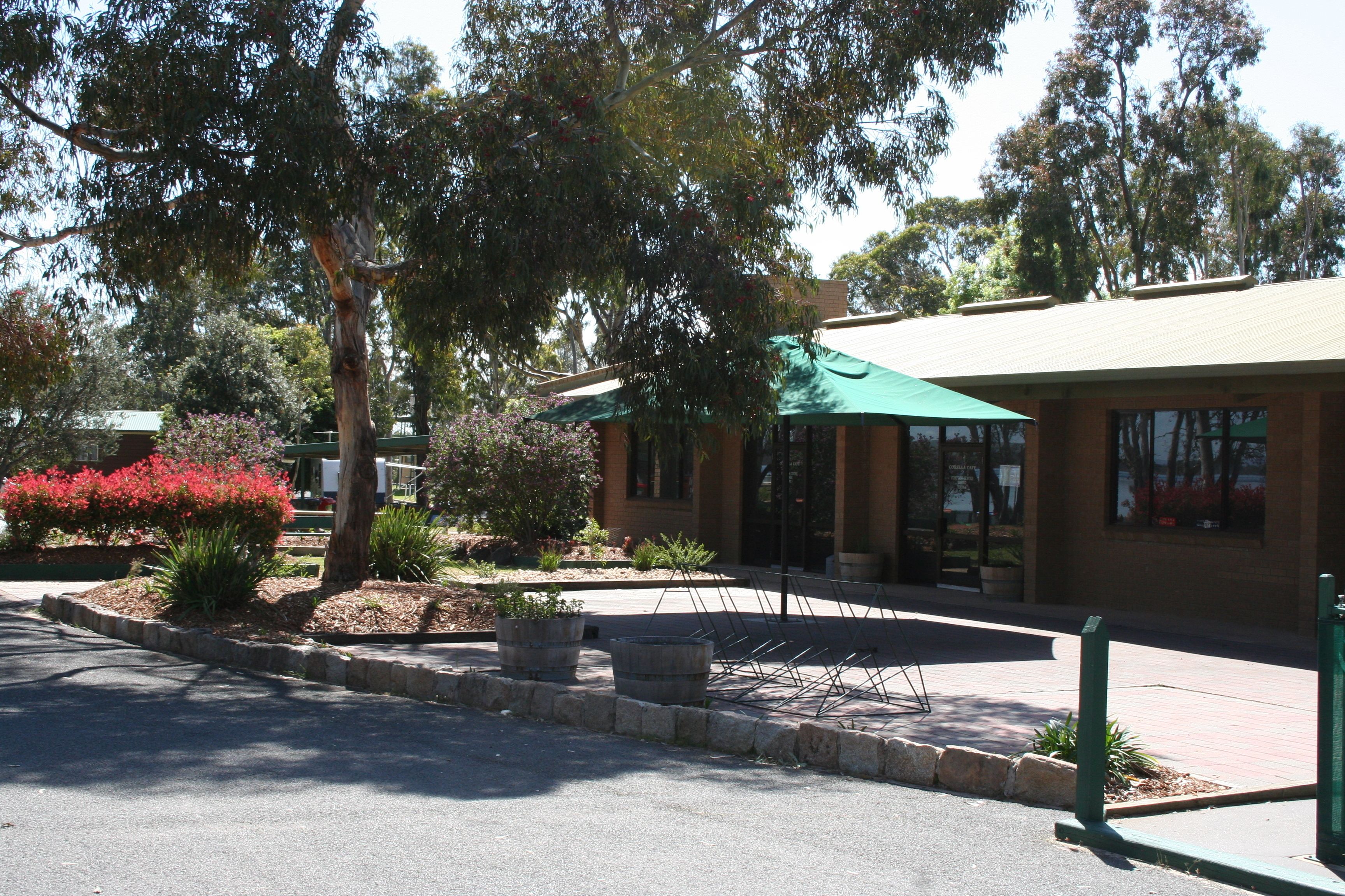 A building with a green awning, a paved walkway, and a landscaped area with shrubs and a tree.