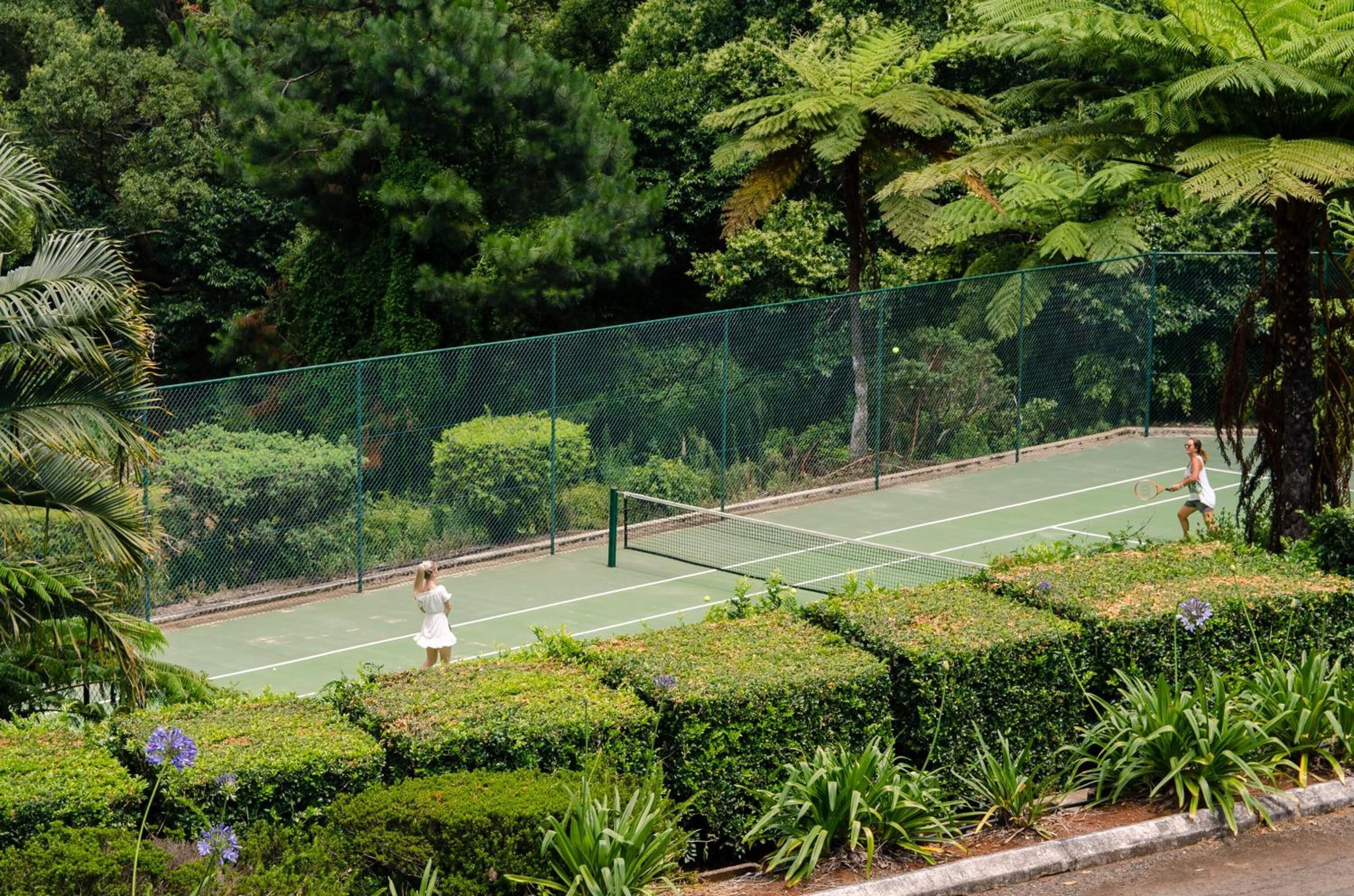 An outdoor tennis court surrounded by lush greenery and a green fence.