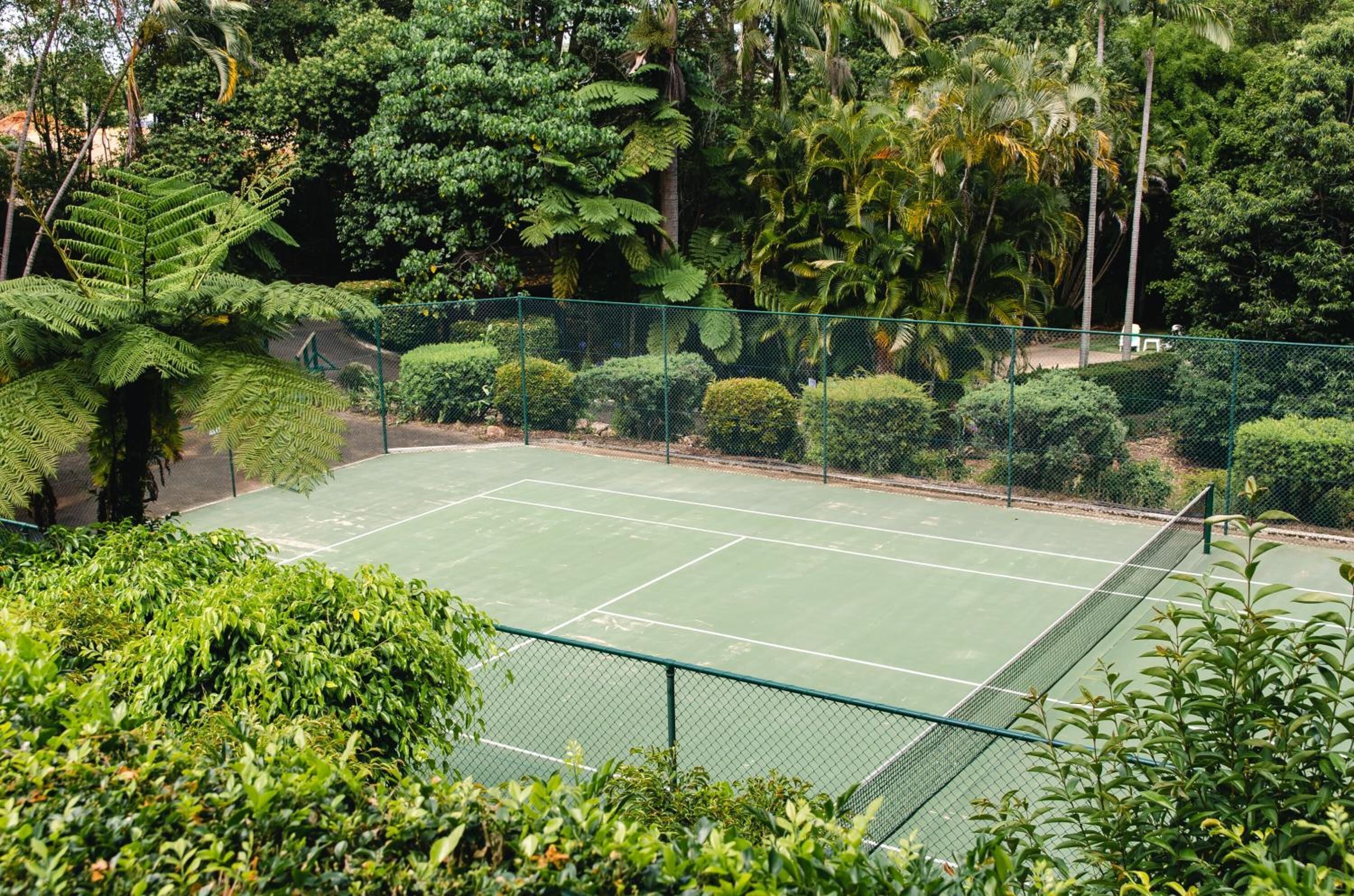 A tennis court surrounded by dense greenery and a chain-link fence.