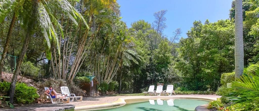 Zona de piscina con sillas de descanso y un pequeño edificio, rodeada de abundante vegetación.