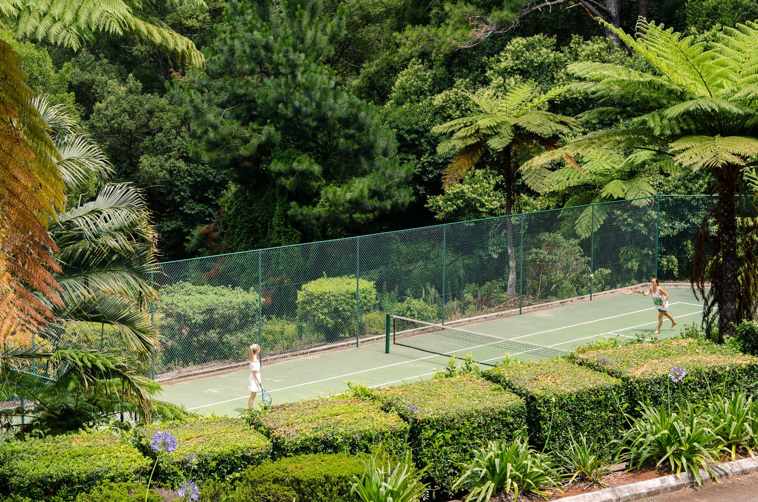 A tennis court surrounded by lush greenery and a fence.