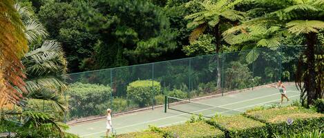 Una cancha de tenis rodeada de abundante vegetación y una valla.