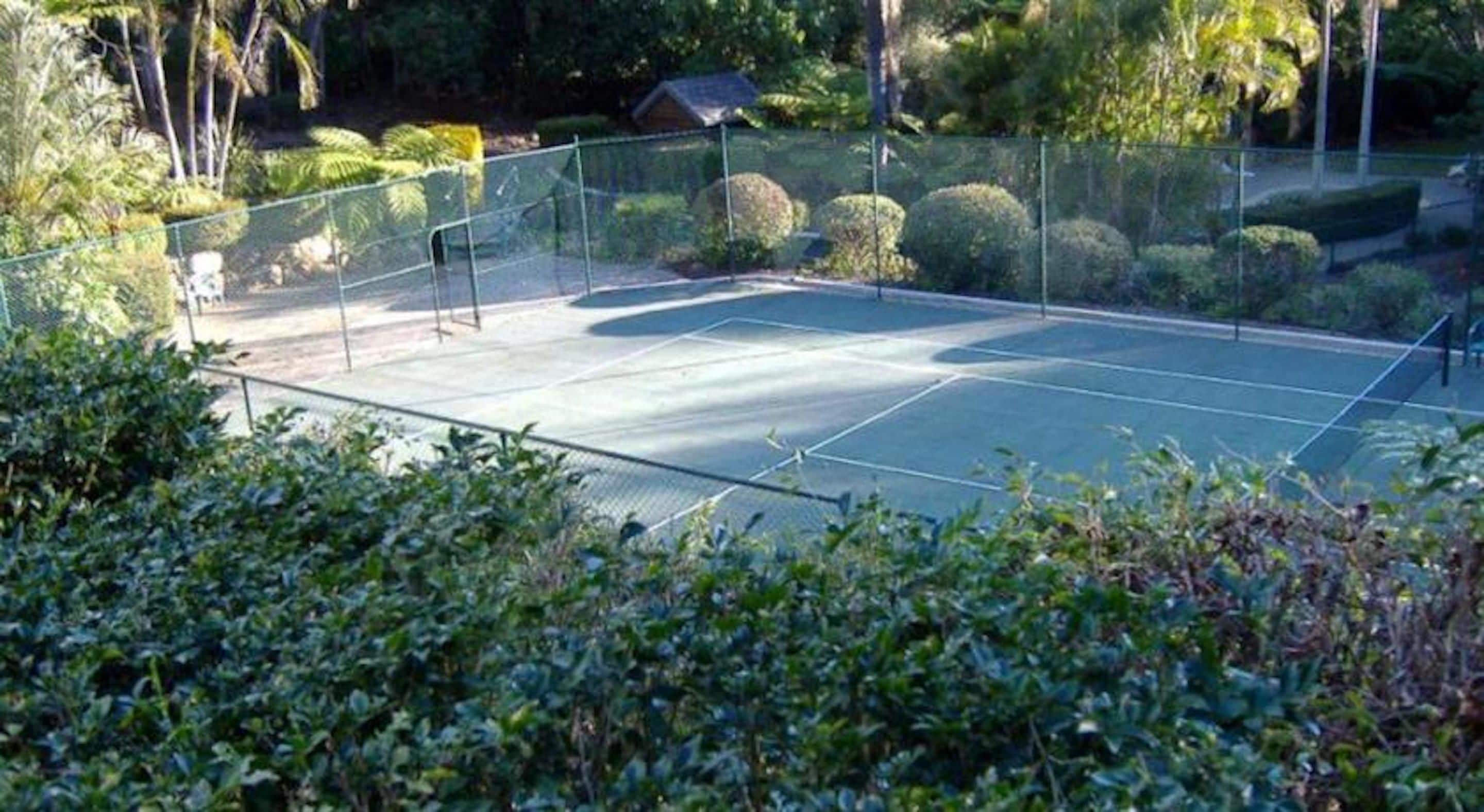 A tennis court surrounded by a fence and lush greenery.