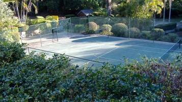 Un court de tennis entouré d’une clôture et d’une végétation luxuriante.