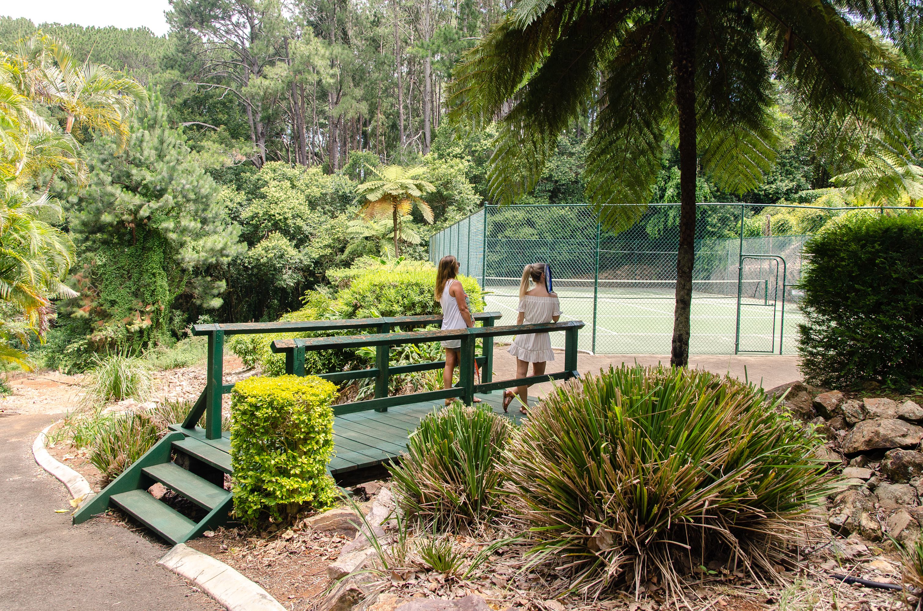 A pathway leading to a tennis court surrounded by lush greenery and a wooden bridge.