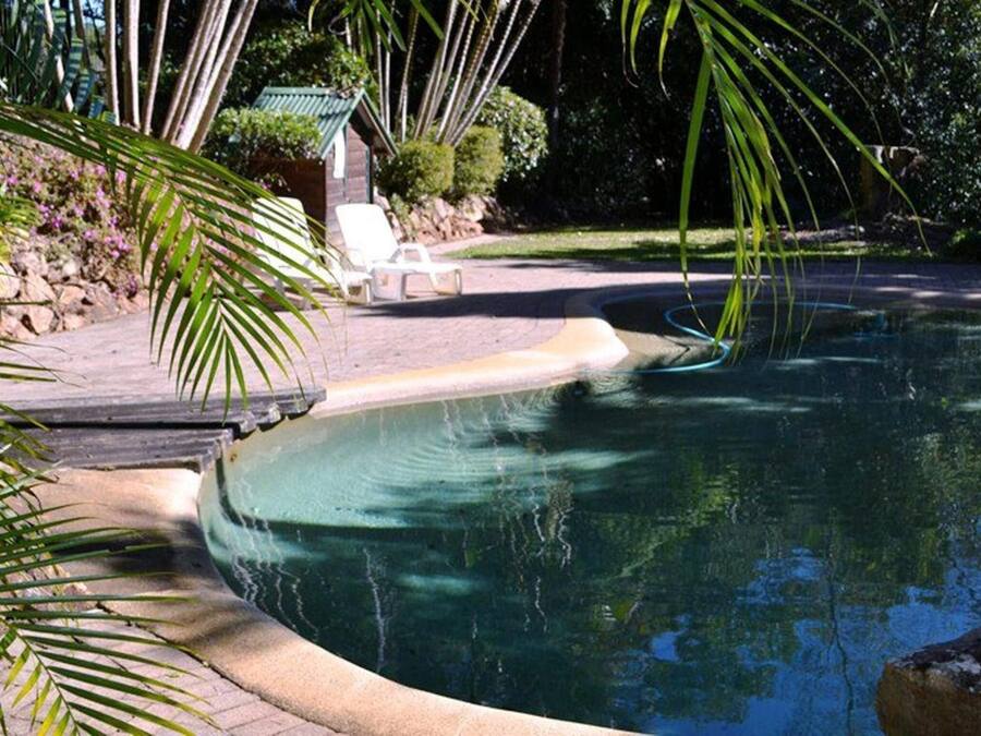 A curved swimming pool with a stone edge, surrounded by palm trees and a patio area with chairs.