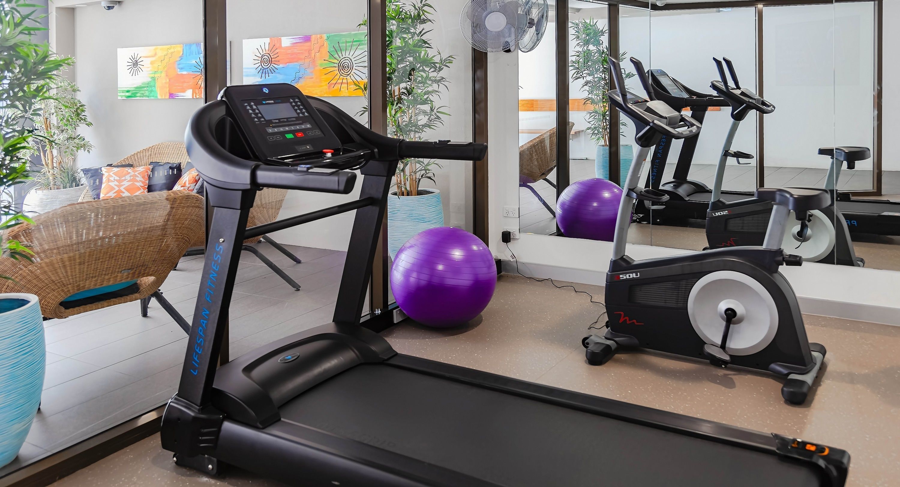 A fitness room with a treadmill, elliptical, and exercise balls.