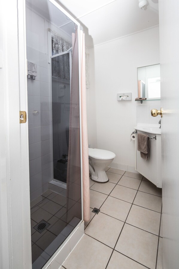 A bathroom with a glass-enclosed shower, a toilet, and a sink with a mirror. - Tally Ho Motor Inn (Tenterfield)