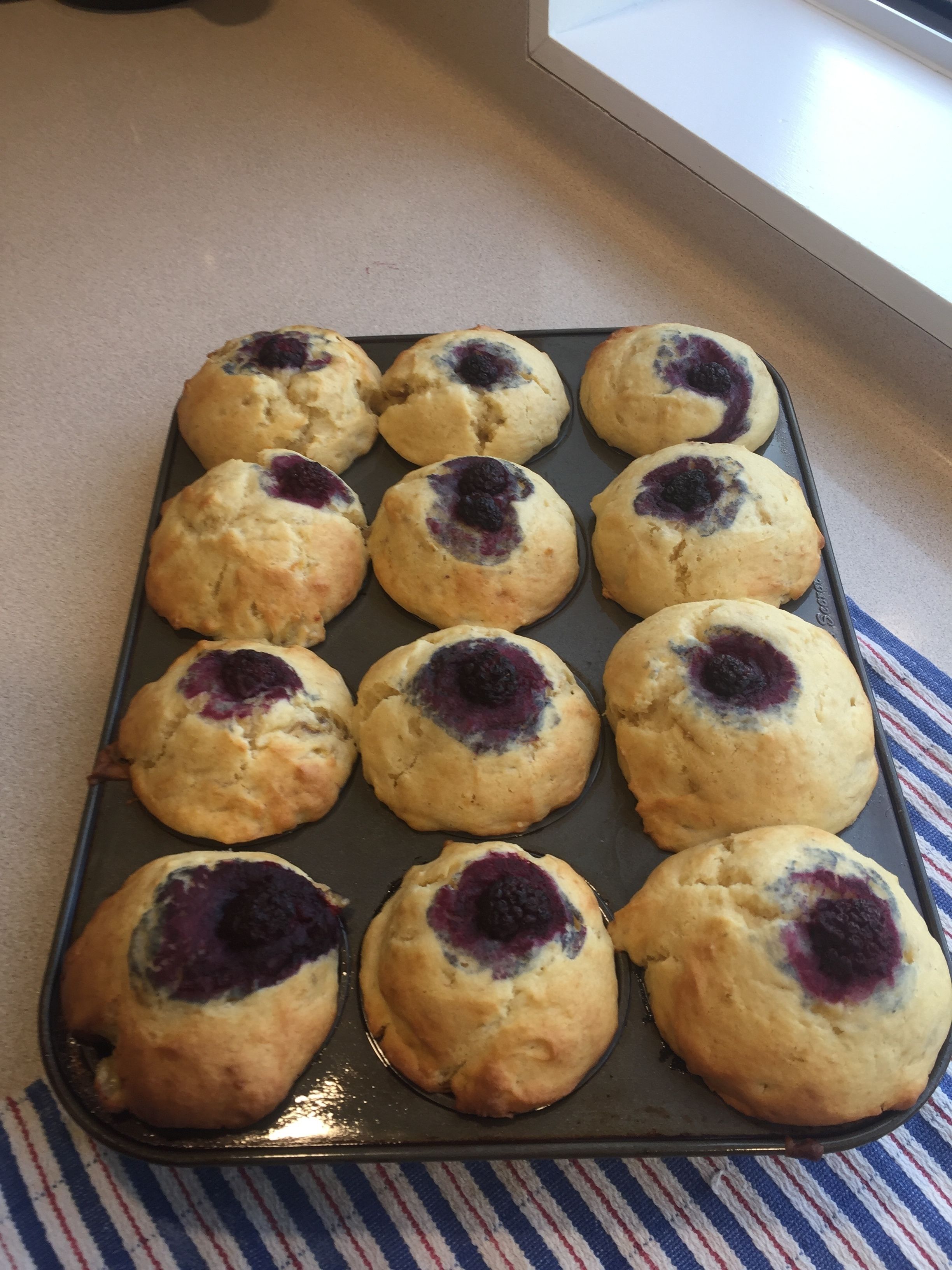 A tray of freshly baked blueberry muffins on a kitchen counter.