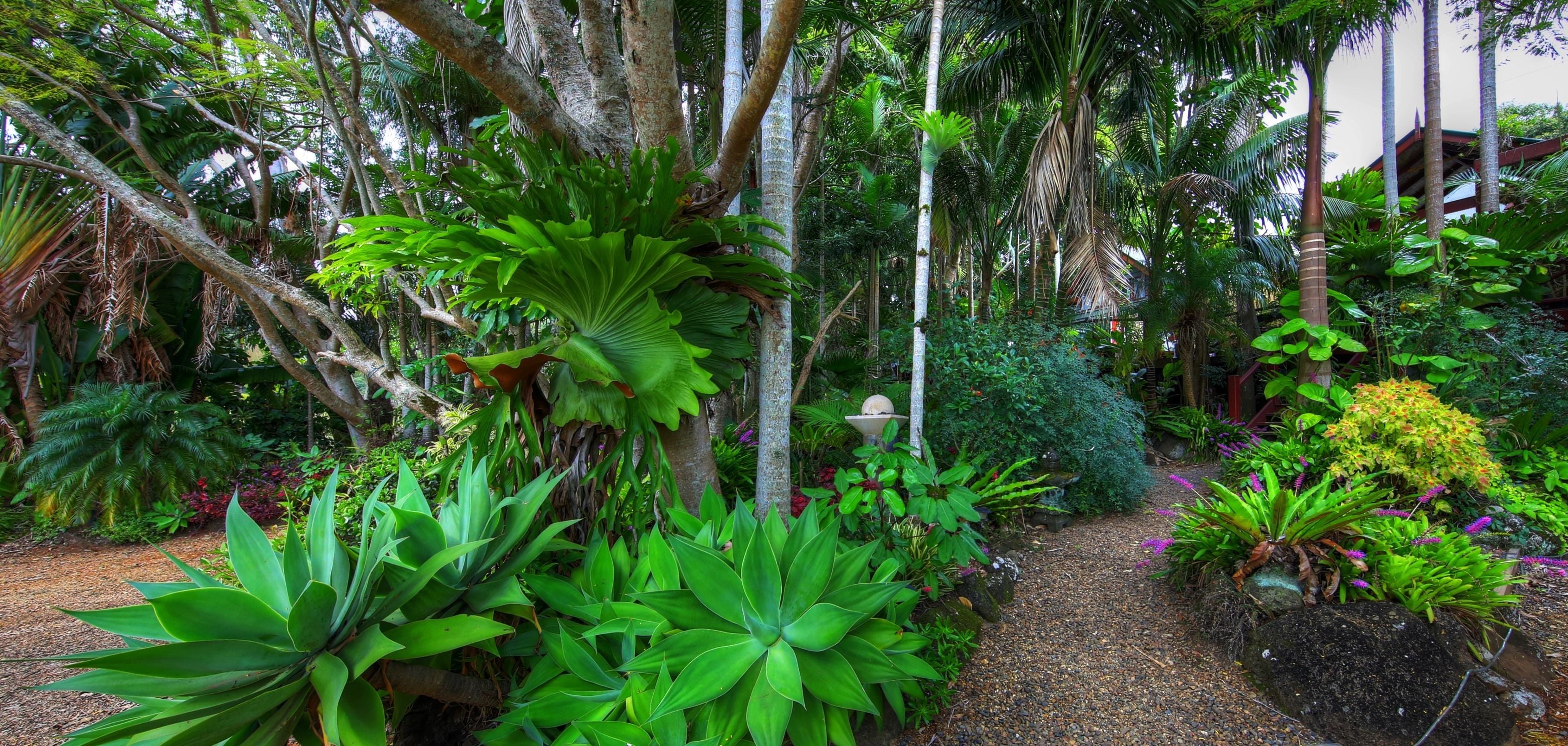 Foto - Maleny Tropical Retreat