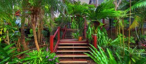 Property entrance - Maleny Tropical Retreat Balinese B&B (Balmoral Ridge)