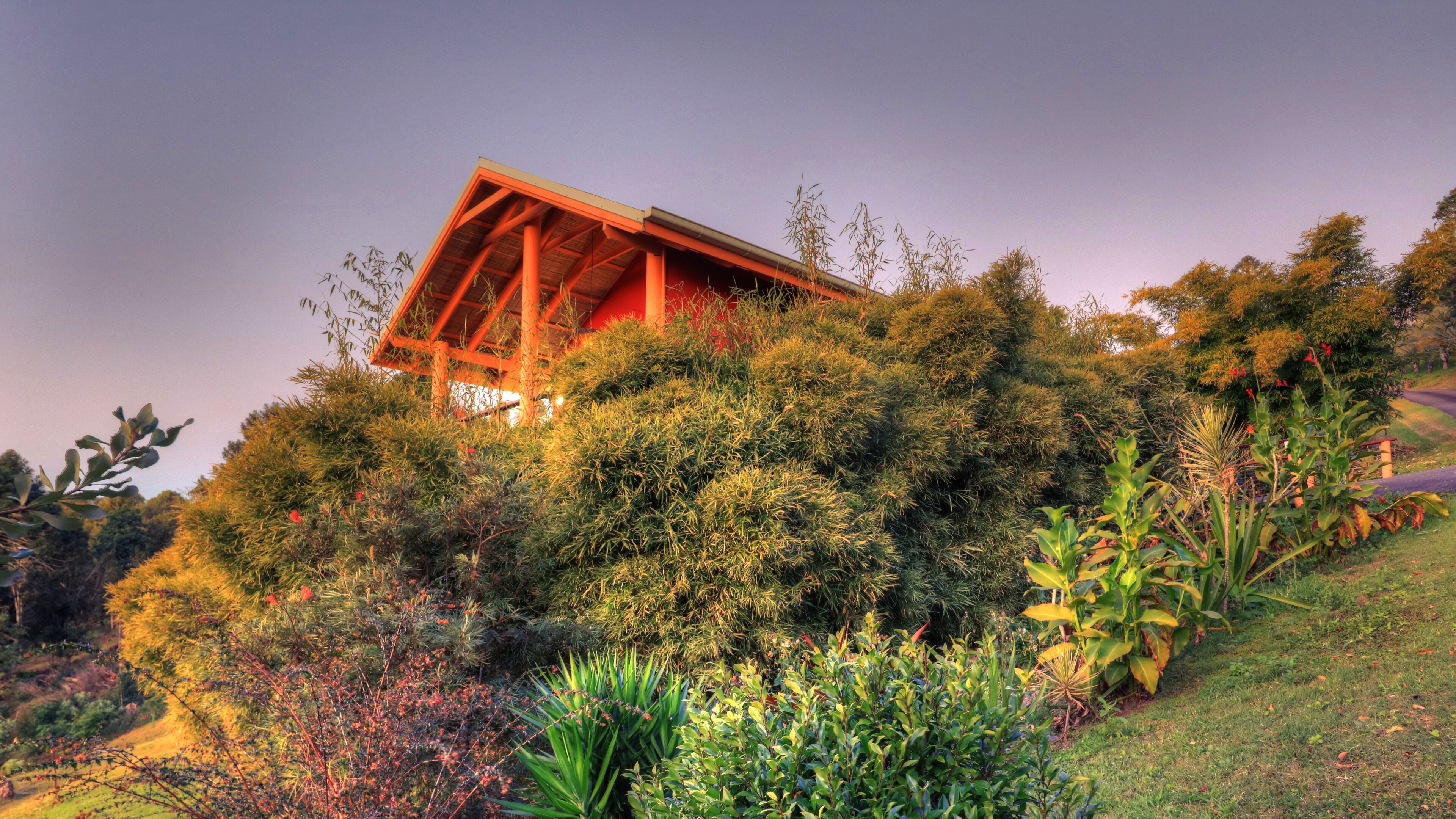 Foto - Maleny Tropical Retreat