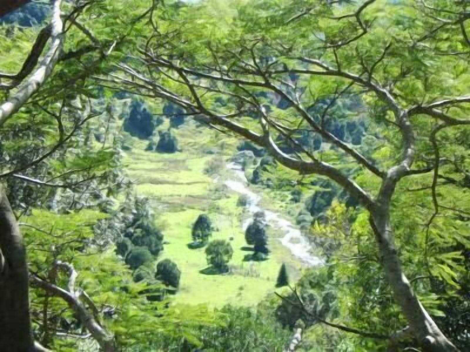 Foto - Maleny Tropical Retreat