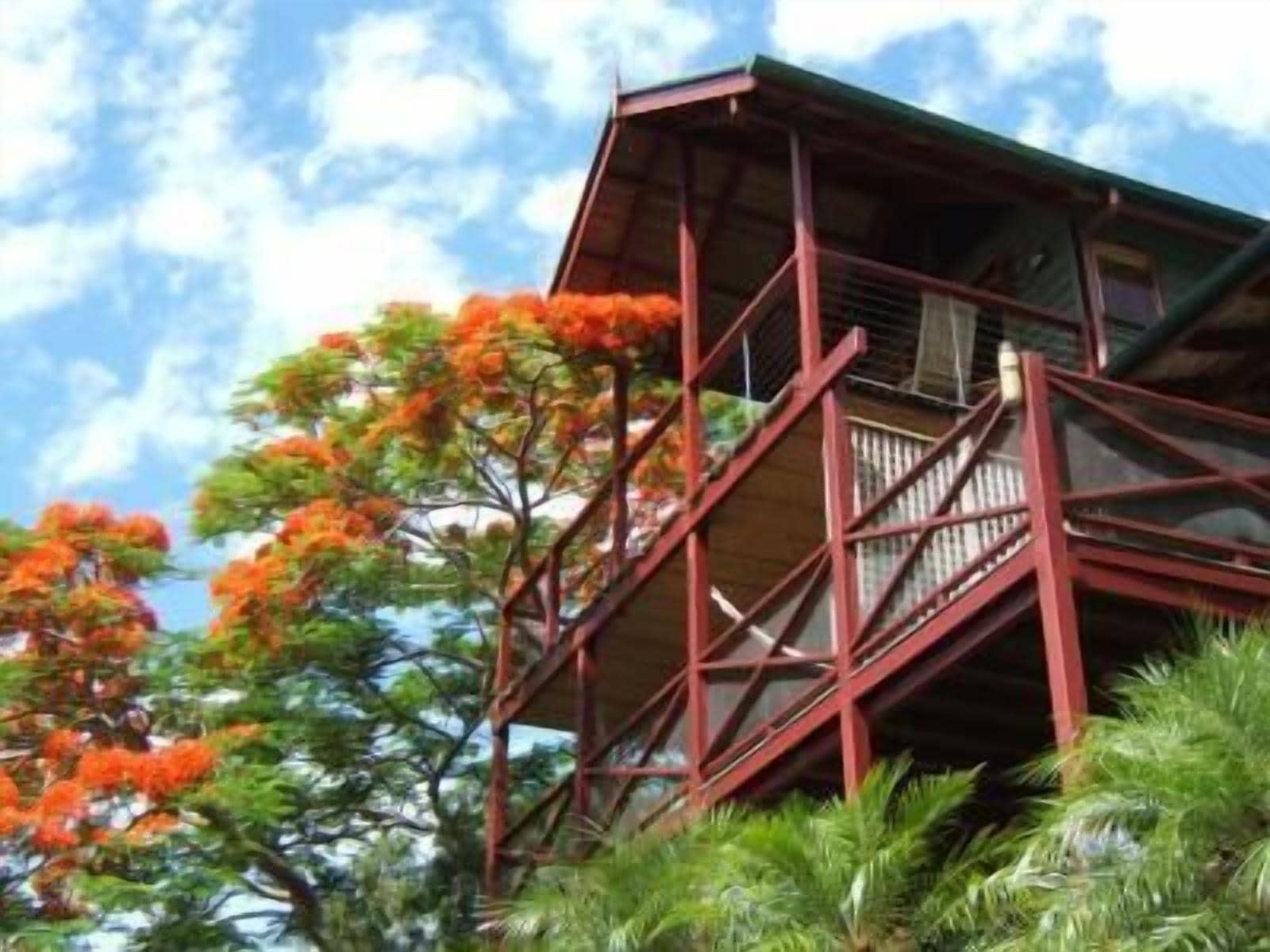 Foto - Maleny Tropical Retreat