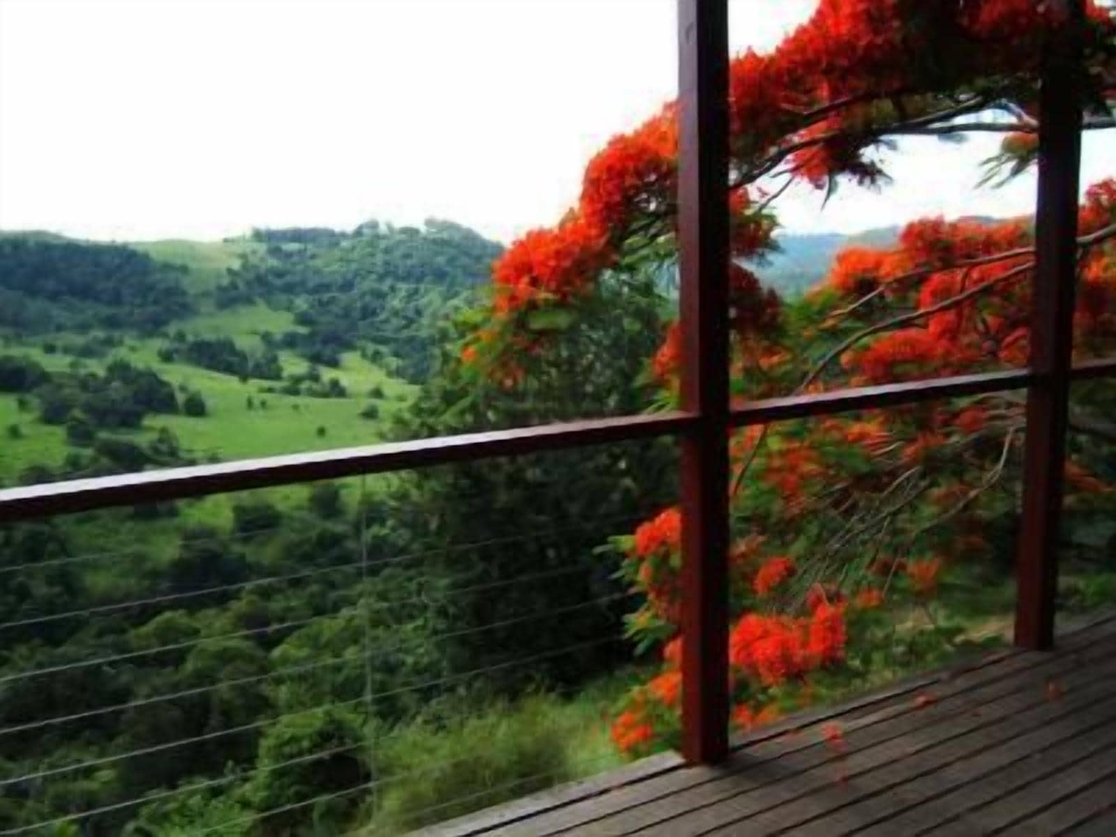 Un balcon donnant sur un paysage verdoyant et des fleurs rouges.