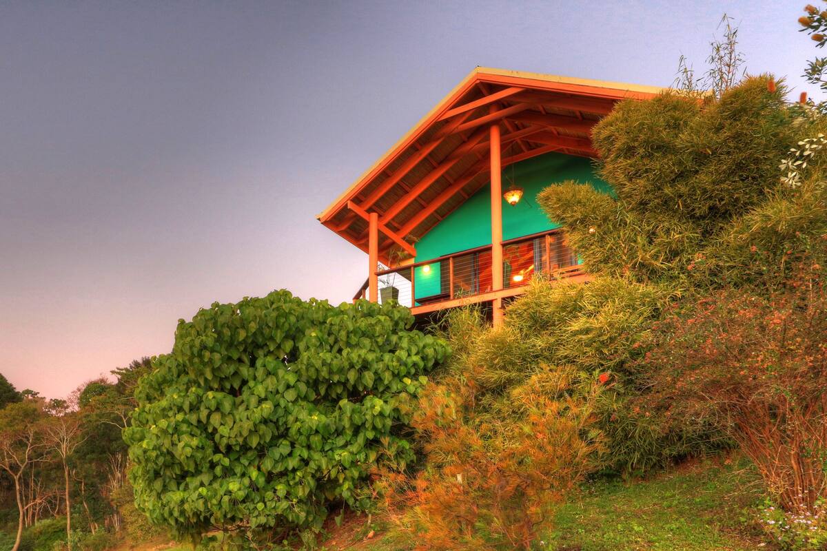 A modern house with a green exterior, surrounded by lush greenery and trees.