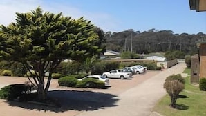 A parking lot with several cars, a large tree, and a building in the background. - Apollo Holiday Units (Narooma)