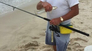 A man holding a fish on a beach with a fishing rod and a bucket nearby. - The Peninsular Merimbula (Merimbula)