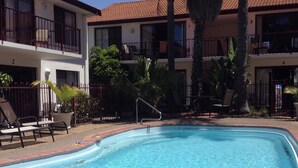 A swimming pool with a clear blue water surface, surrounded by a fenced area with lounge chairs and potted plants. - The Peninsular Merimbula (Merimbula)