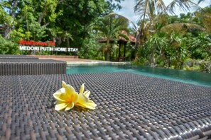 Poolside bar - Medori Putih Homestay (Pecatu)