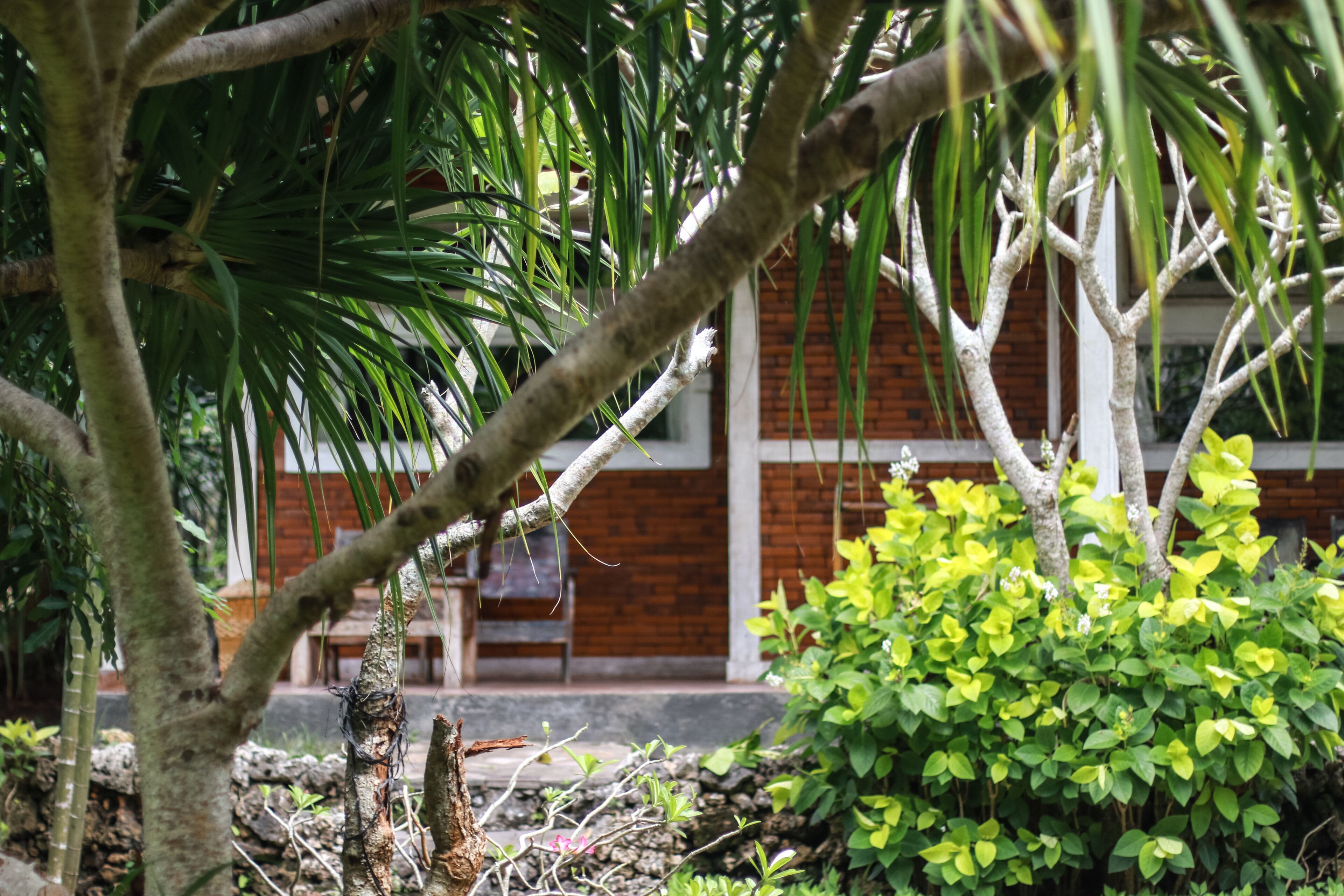 A garden with a variety of plants and trees, a brick building in the background, and a stone pathway.