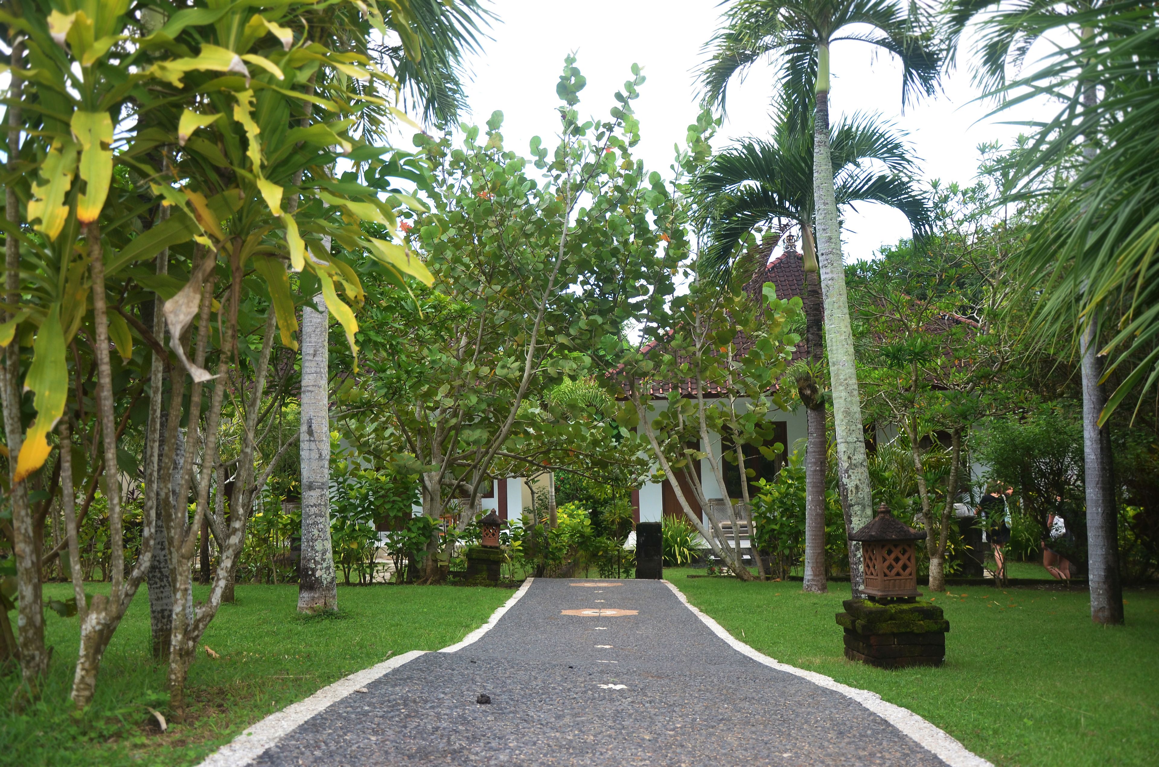 Udsigt fra overnatningsstedet