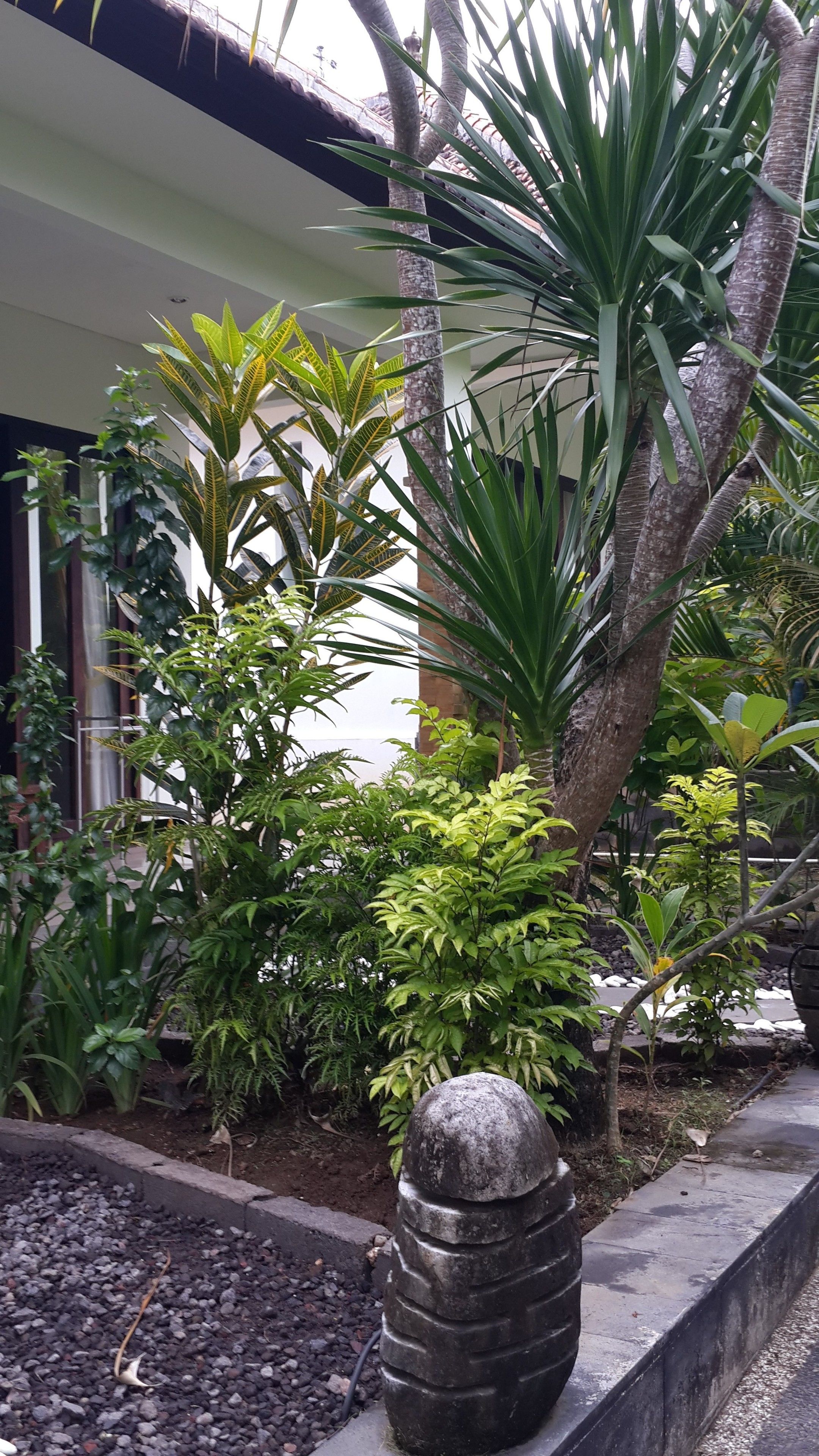 A garden with various plants and a large decorative stone planter.