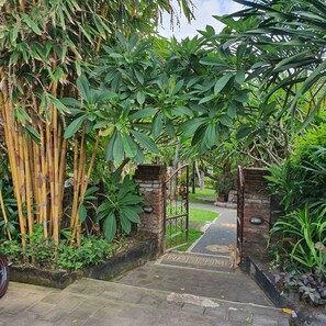 Un sentiero che si snoda attraverso un rigoglioso giardino con bambù e piante a foglie grandi, delimitato da pilastri in pietra e un cancello in metallo.