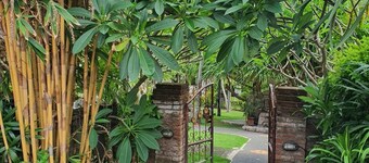 Medori Putih Homestay