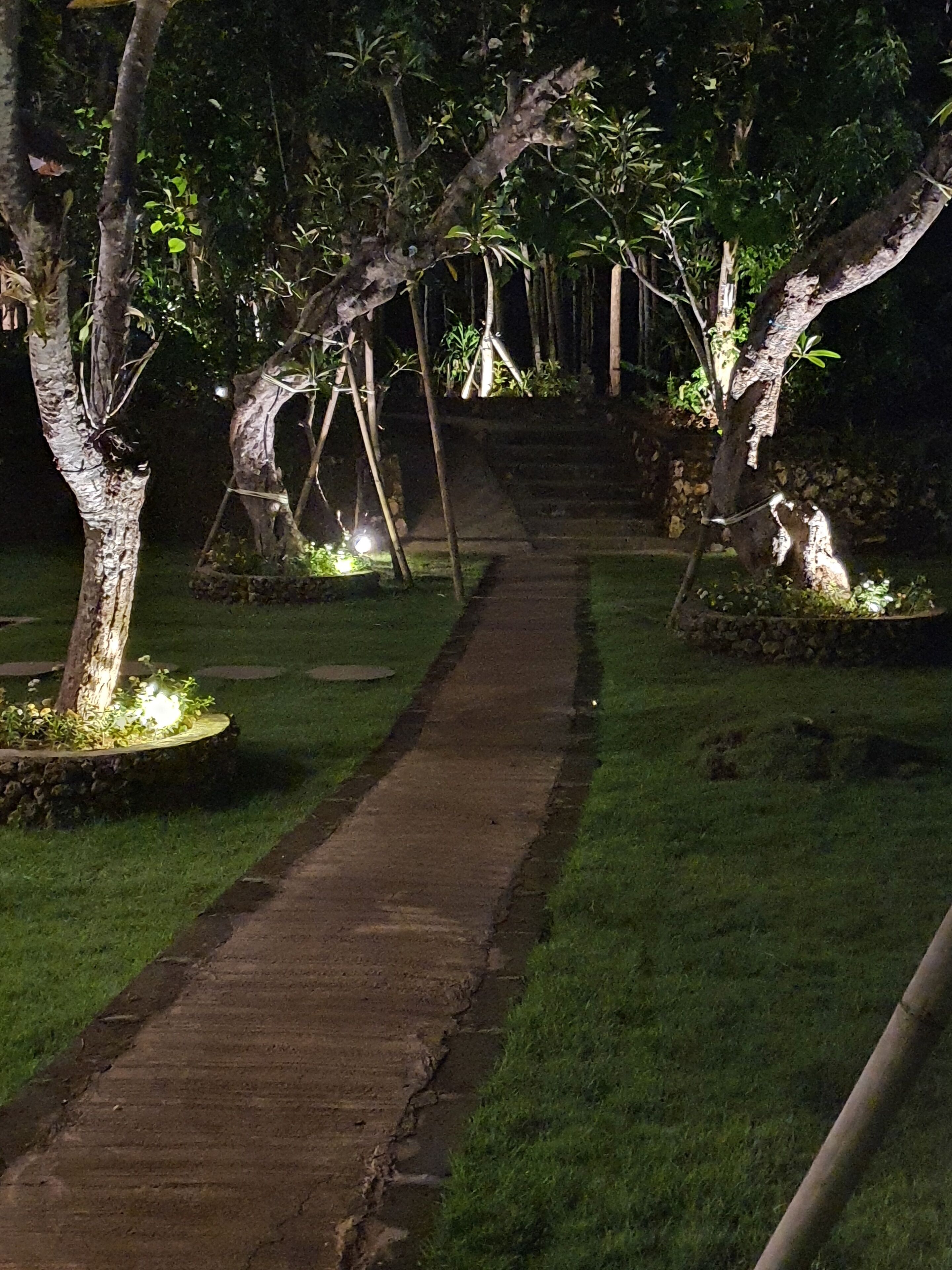 A nighttime pathway flanked by trees and illuminated by ground lights.