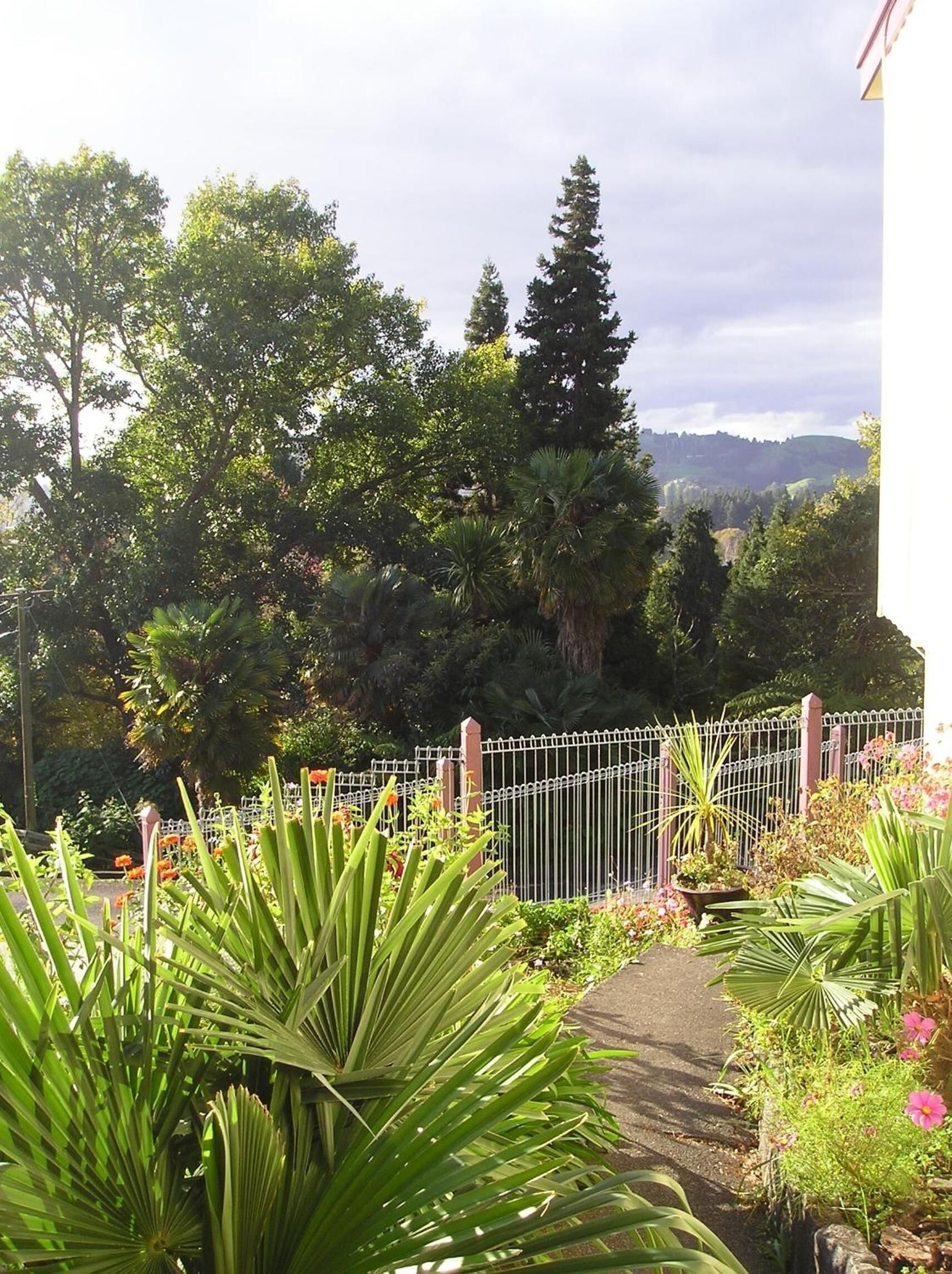 Um jardim com diversas plantas e uma cerca de metal branca.